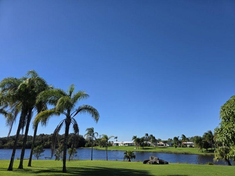 banner-img